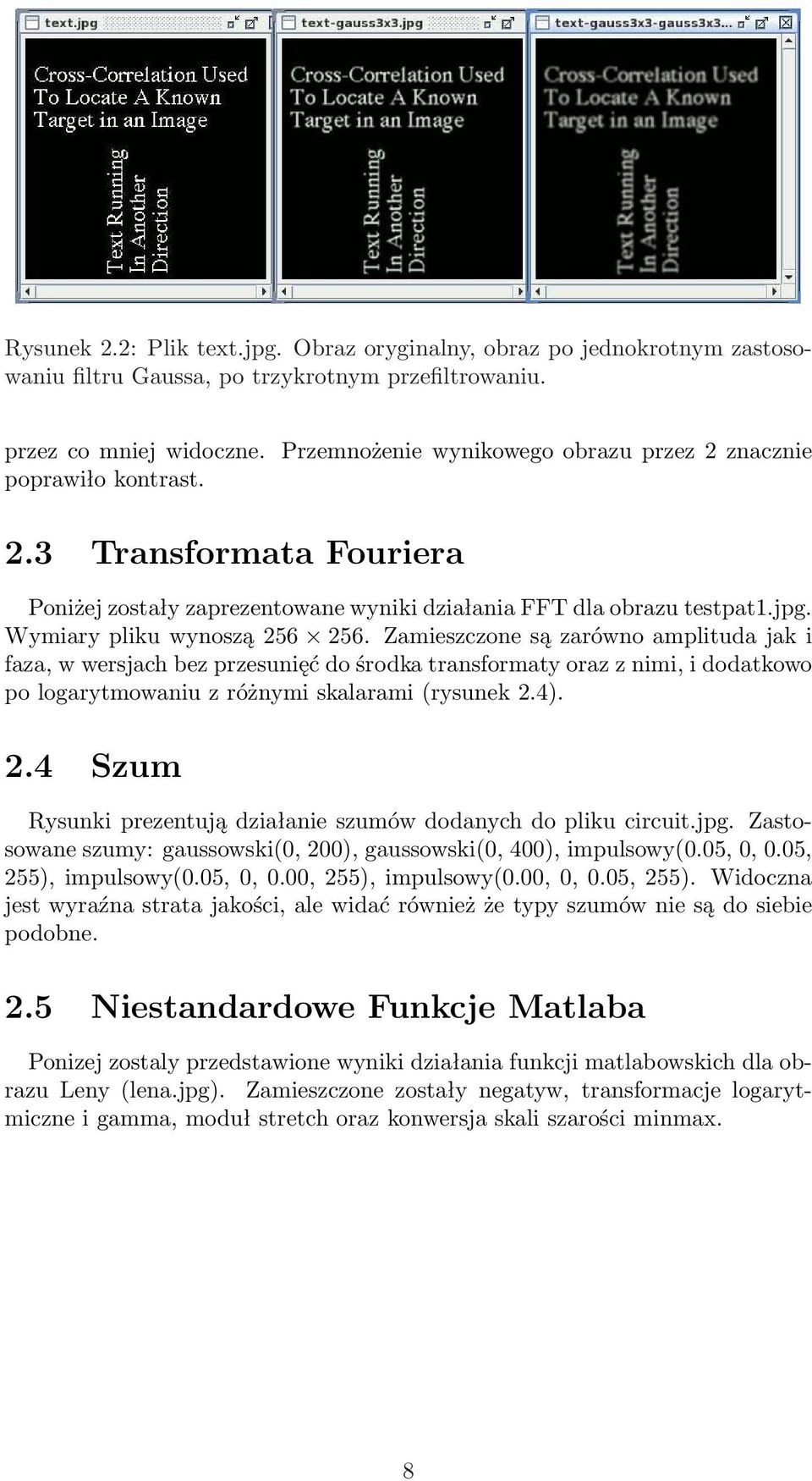 Wymiary pliku wynoszą 256 256. Zamieszczone są zarówno amplituda jak i faza, w wersjach bez przesunięć do środka transformaty oraz z nimi, i dodatkowo po logarytmowaniu z różnymi skalarami (rysunek 2.