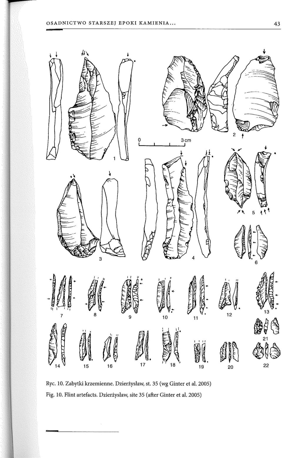 Zabytki krzemienne. Dzierżyslaw, st. 35 (wg Ginter et al.