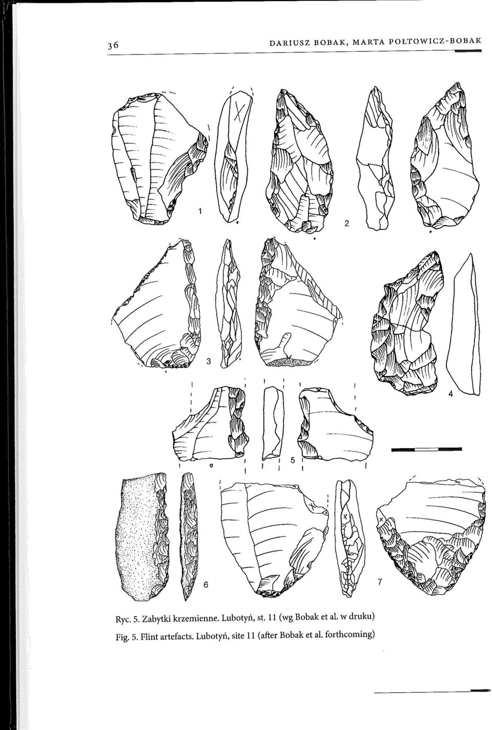 11 (wg Bobak et al. w druku) Fig. 5.