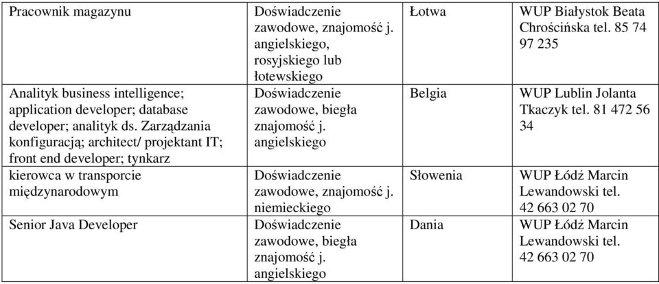 międzynarodowym Senior Java Developer, rosyjskiego lub łotewskiego zawodowe, biegła niemieckiego zawodowe,