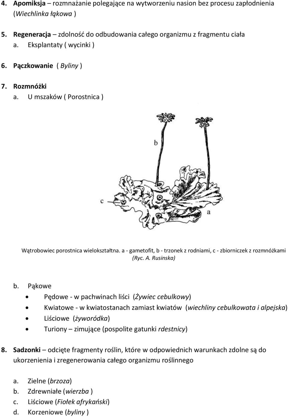 a - gametofit, b - trzonek z rodniami, c - zbiorniczek z rozmnóżkami (Ryc. A. Rusinska) b.