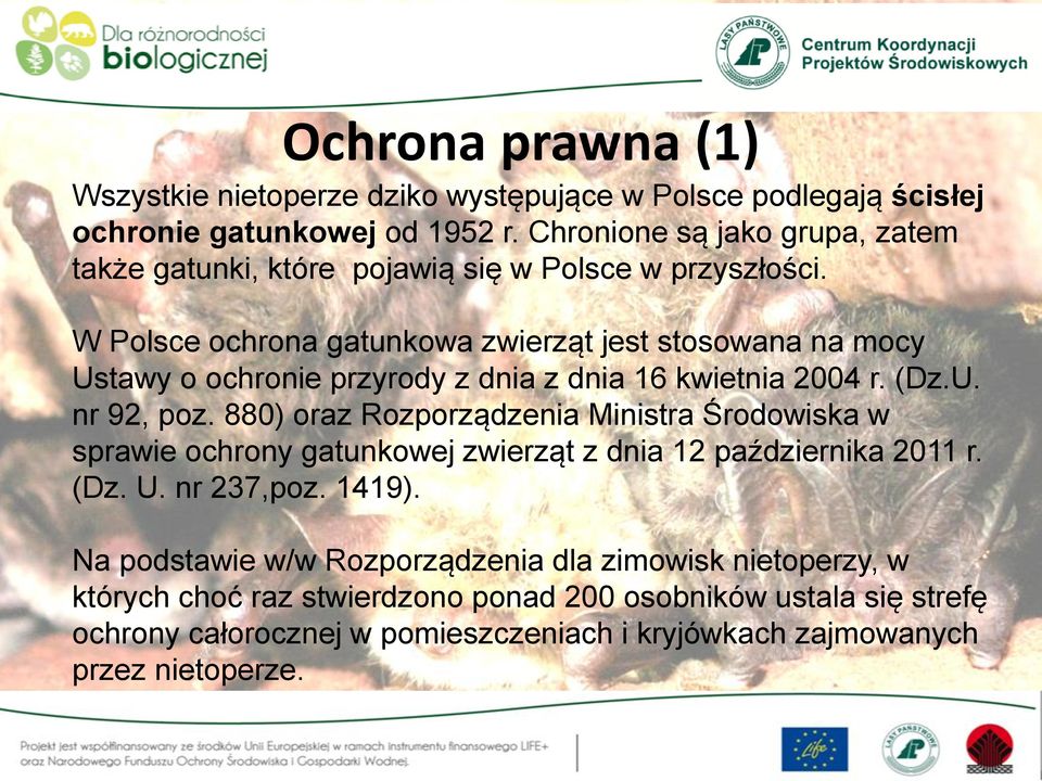 W Polsce ochrona gatunkowa zwierząt jest stosowana na mocy Ustawy o ochronie przyrody z dnia z dnia 16 kwietnia 2004 r. (Dz.U. nr 92, poz.