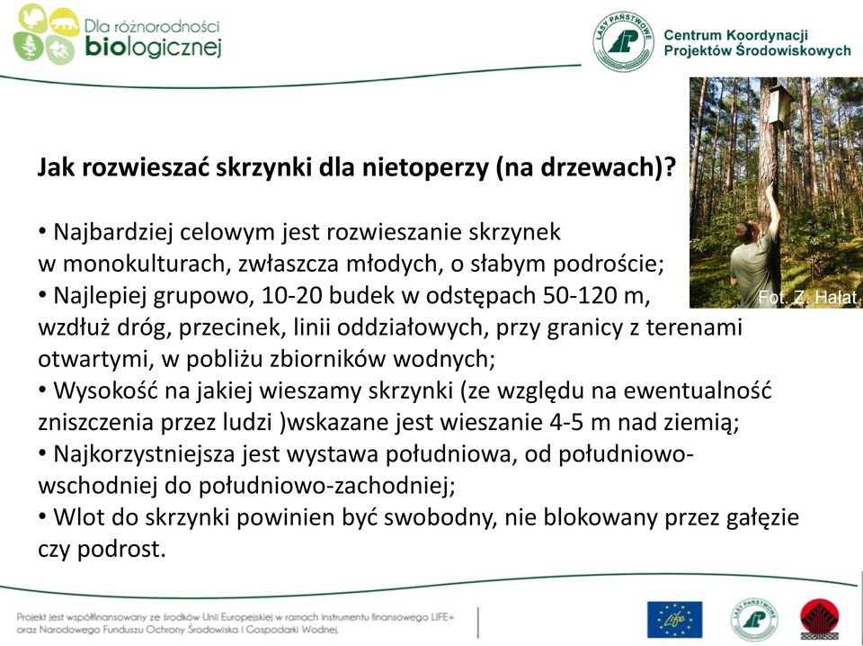 Z. Hałat wzdłuż dróg, przecinek, linii oddziałowych, przy granicy z terenami otwartymi, w pobliżu zbiorników wodnych; Wysokość na jakiej wieszamy skrzynki (ze