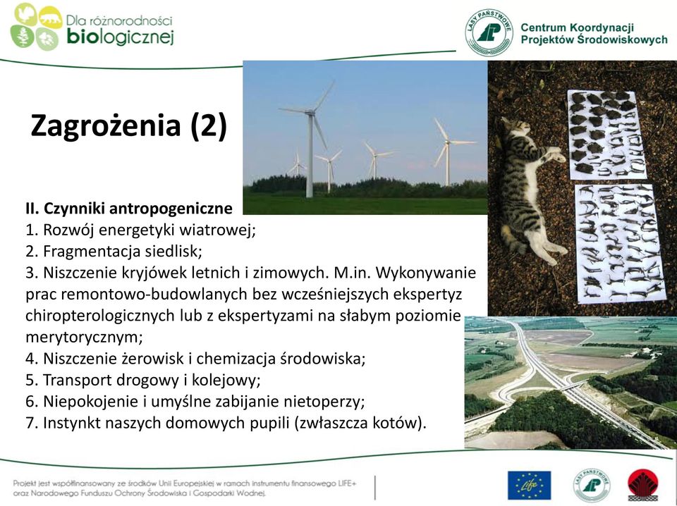 Wykonywanie prac remontowo-budowlanych bez wcześniejszych ekspertyz chiropterologicznych lub z ekspertyzami na słabym