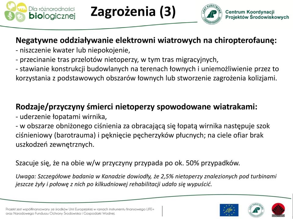 Rodzaje/przyczyny śmierci nietoperzy spowodowane wiatrakami: - uderzenie łopatami wirnika, - w obszarze obniżonego ciśnienia za obracającą się łopatą wirnika następuje szok ciśnieniowy (barotrauma) i