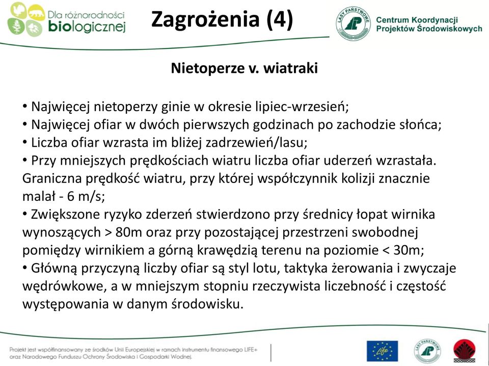 Przy mniejszych prędkościach wiatru liczba ofiar uderzeń wzrastała.