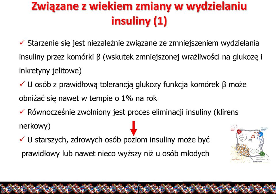 glukozy funkcja komórek β może obniżać się nawet w tempie o 1% na rok Równocześnie zwolniony jest proces eliminacji