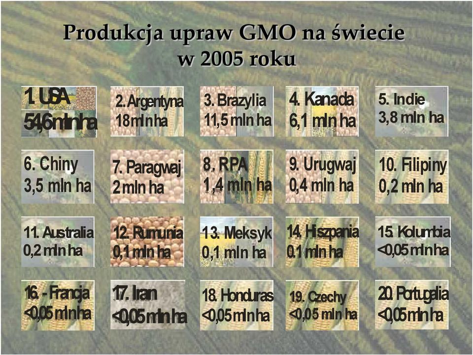 RPA 1,4 mln ha 0,4 mln ha 10. Filipiny 0,2 mln ha 11. Australia 0,2 mlnha 12. Rumunia 13. Meksyk 14. Hiszpania 15.