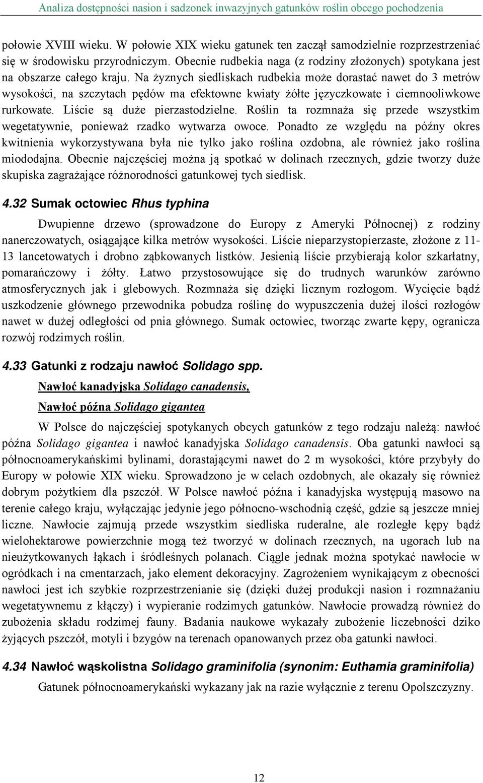 Na żyznych siedliskach rudbekia może dorastać nawet do 3 metrów wysokości, na szczytach pędów ma efektowne kwiaty żółte języczkowate i ciemnooliwkowe rurkowate. Liście są duże pierzastodzielne.