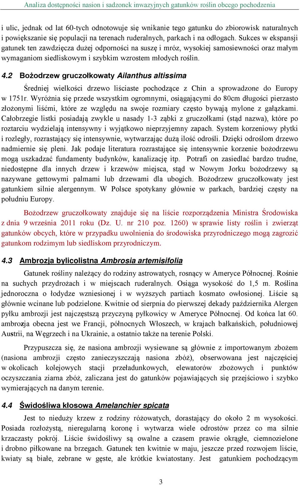 2 Bożodrzew gruczołkowaty Ailanthus altissima Średniej wielkości drzewo liściaste pochodzące z Chin a sprowadzone do Europy w 1751r.