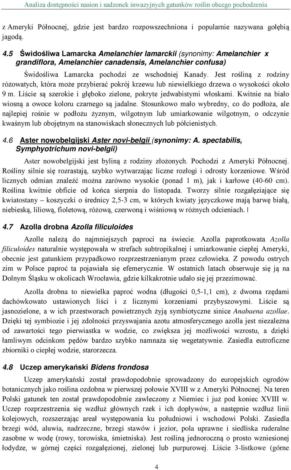 Jest rośliną z rodziny różowatych, która może przybierać pokrój krzewu lub niewielkiego drzewa o wysokości około 9 m. Liście są szerokie i głęboko zielone, pokryte jedwabistymi włoskami.