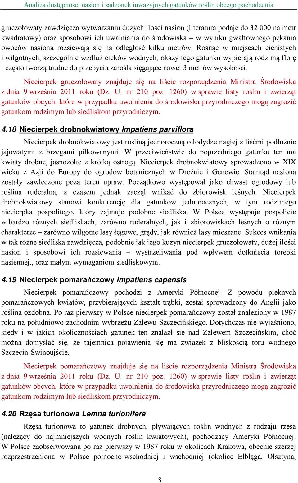 Rosnąc w miejscach cienistych i wilgotnych, szczególnie wzdłuż cieków wodnych, okazy tego gatunku wypierają rodzimą florę i często tworzą trudne do przebycia zarośla sięgające nawet 3 metrów