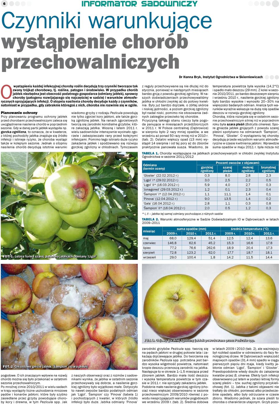 W przypadku chorób jabłek niezbędna jest obecność podatnego gospodarza (odmiany jabłek), sprawcy choroby (patogenu rozwijającego się najczęściej w sadzie) i warunków atmosferycznych sprzyjających