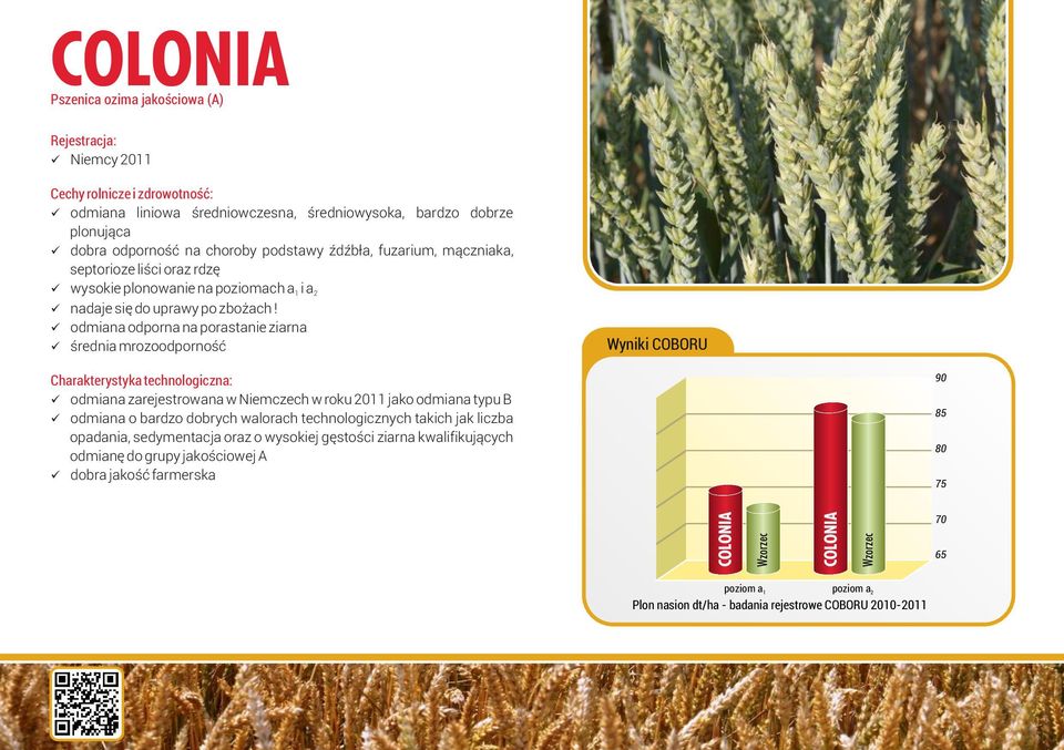 üodmiana odporna na porastanie ziarna üśrednia mrozoodporność Wyniki COBORU üodmiana zarejestrowana w Niemczech w roku 2011 jako odmiana typu B üodmiana o bardzo dobrych walorach
