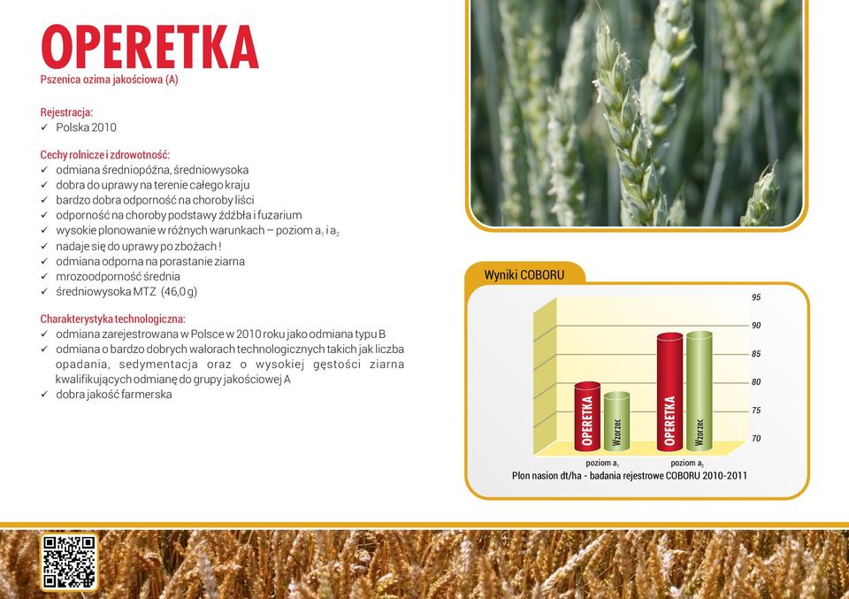 üodmiana odporna na porastanie ziarna ümrozoodporność średnia üśredniowysoka MTZ (46,0 g) Wyniki COBORU 95 üodmiana zarejestrowana w Polsce w 2010 roku jako odmiana typu B üodmiana o bardzo dobrych