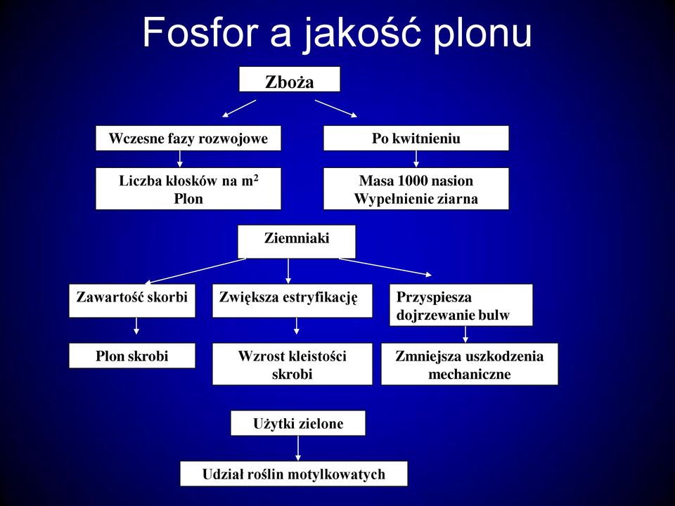 Zwiększa estryfikację Przyspiesza dojrzewanie bulw Plon skrobi Wzrost