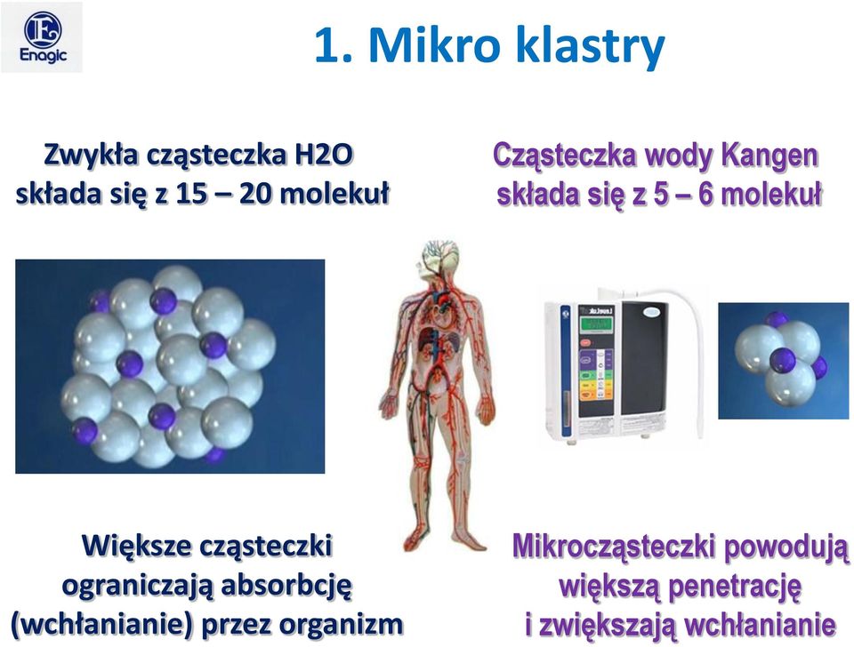 Większe cząsteczki ograniczają absorbcję (wchłanianie) przez