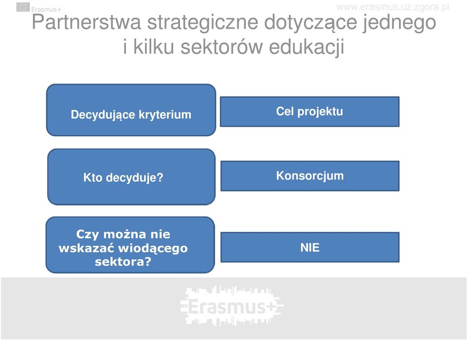 kryterium Cel projektu Kto decyduje?