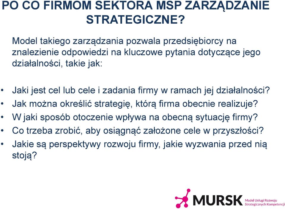 takie jak: Jaki jest cel lub cele i zadania firmy w ramach jej działalności?