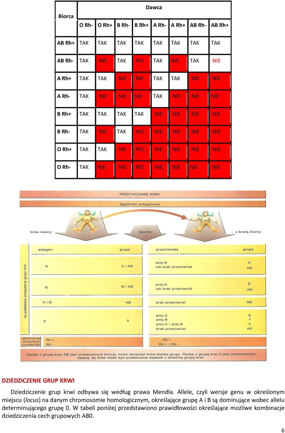 NIE NIE DZIEDZICZENIE GRUP KRWI Dziedziczenie grup krwi odbywa się według prawa Mendla.