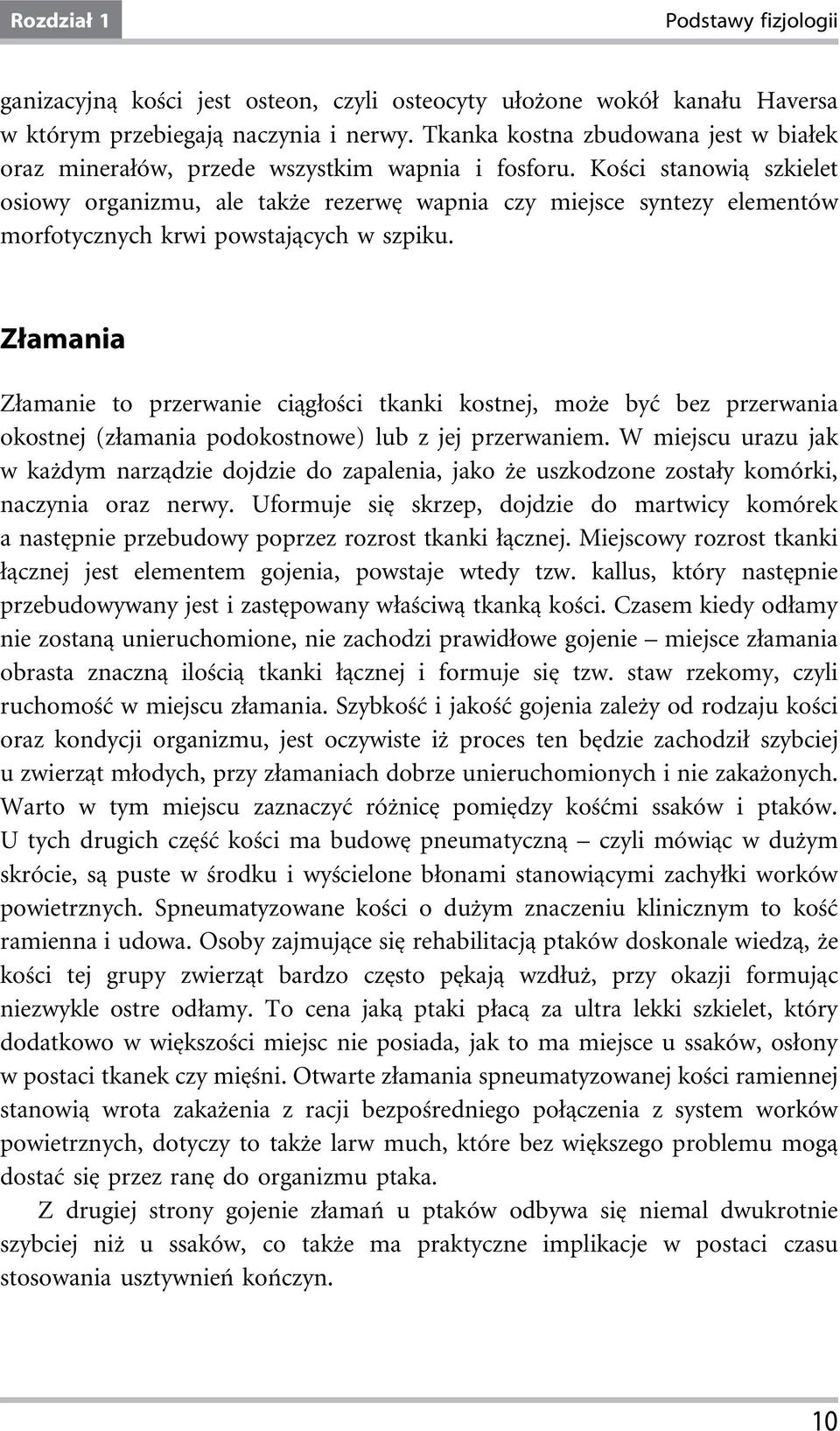 Kości stanowią szkielet osiowy organizmu, ale także rezerwę wapnia czy miejsce syntezy elementów morfotycznych krwi powstających w szpiku.