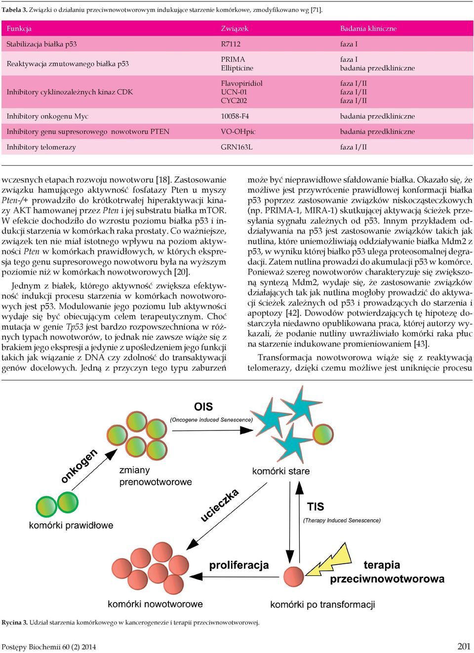 badania przedkliniczne faza I/II faza I/II faza I/II Inhibitory onkogenu Myc 10058-F4 badania przedkliniczne Inhibitory genu supresorowego nowotworu PTEN VO-OHpic badania przedkliniczne Inhibitory