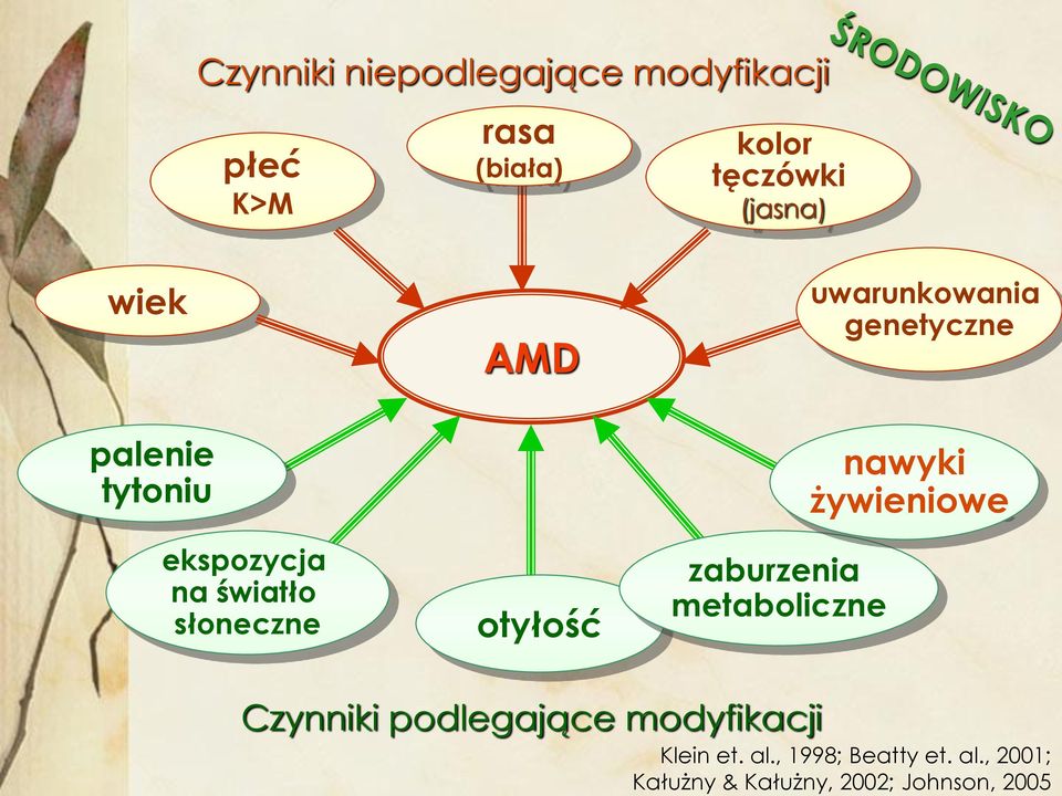 otyłość zaburzenia metaboliczne nawyki żywieniowe Czynniki podlegające