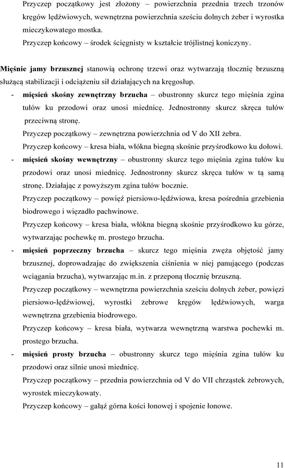 Mięśnie jamy brzusznej stanowią ochronę trzewi oraz wytwarzają tłocznię brzuszną służącą stabilizacji i odciążeniu sił działających na kręgosłup.