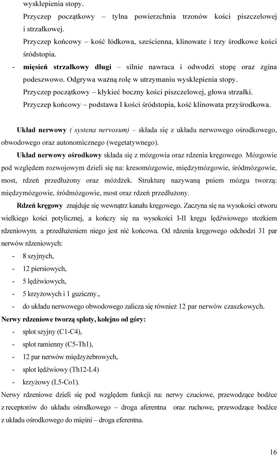 Przyczep początkowy kłykieć boczny kości piszczelowej, głowa strzałki. Przyczep końcowy podstawa I kości śródstopia, kość klinowata przyśrodkowa.