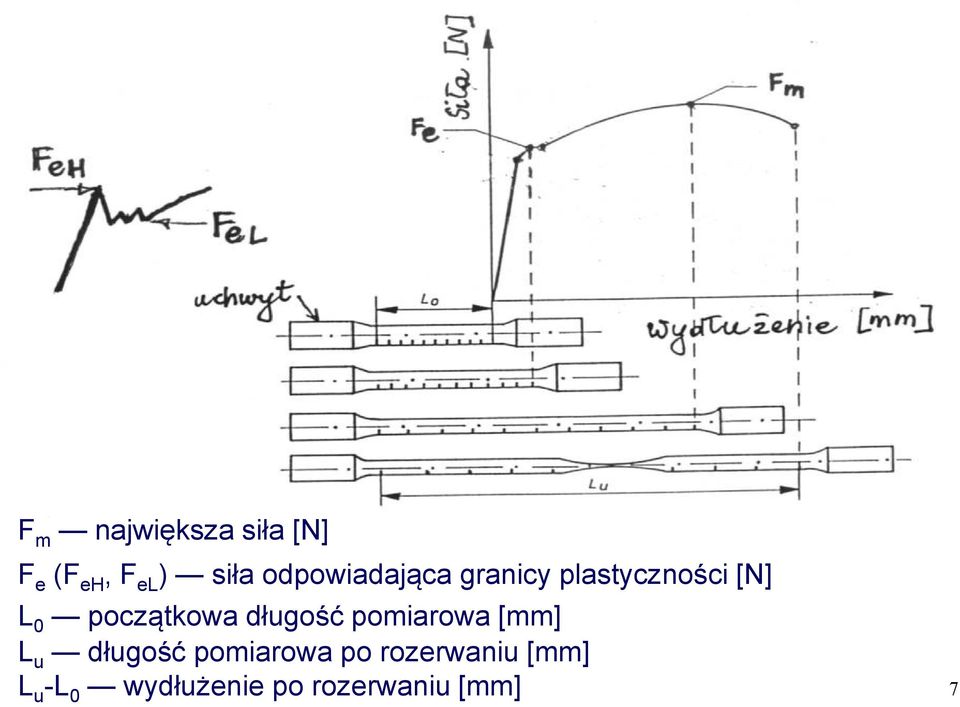 początkowa długość pomiarowa [mm] L u długość