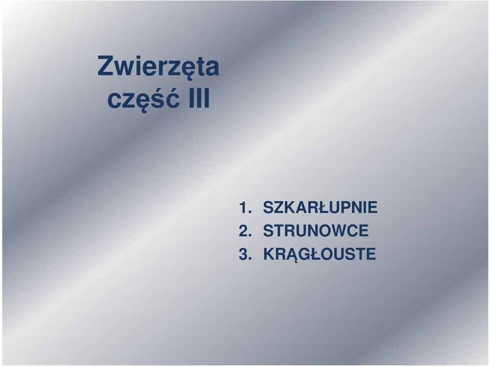 SZKARŁUPNIE 2.