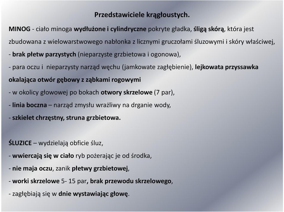 parzystych (nieparzyste grzbietowa i ogonowa), -para oczu i nieparzysty narząd węchu (jamkowate zagłębienie), lejkowata przyssawka okalająca otwór gębowy z ząbkami rogowymi - w okolicy