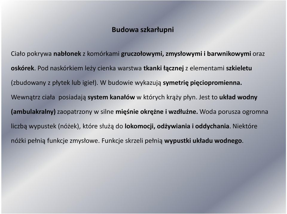 W budowie wykazują symetrię pięciopromienna. Wewnątrz ciała posiadają system kanałów w których krąży płyn.