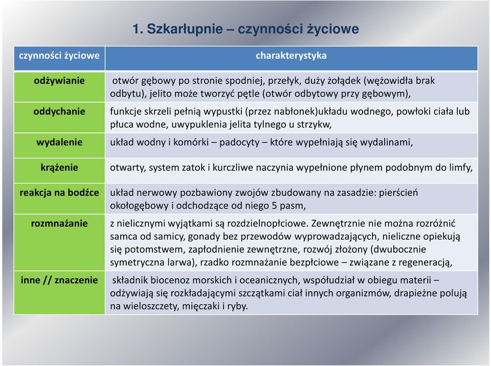 komórki padocyty które wypełniają się wydalinami, otwarty, system zatok i kurczliwe naczynia wypełnione płynem podobnym do limfy, reakcja na bodźce układ nerwowy pozbawiony zwojów zbudowany na