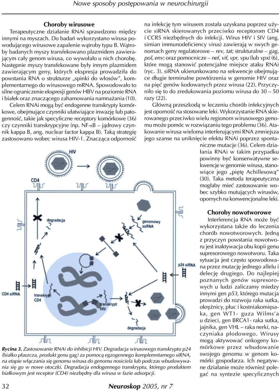 Nastêpnie myszy transfekowane by³y innym plazmidem zawieraj¹cym geny, których ekspresja prowadzi³a do powstania RNA o strukturze spinki do w³osów, komplementarnego do wirusowego mrna.