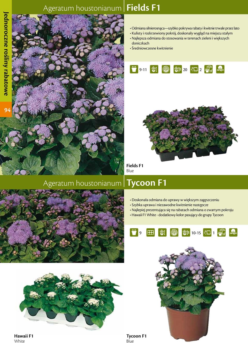 kwitnienie 9-20 2 94 Ageratum houstonianum Fields F Blue Tycoon F Doskonała odmiana do uprawy w większym zagęszczeniu Szybka uprawa i niezawodne