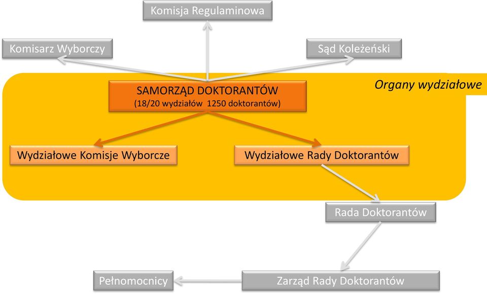 Organy wydziałowe Wydziałowe Komisje Wyborcze Wydziałowe