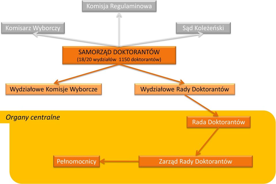 Wydziałowe Komisje Wyborcze Wydziałowe Rady Doktorantów