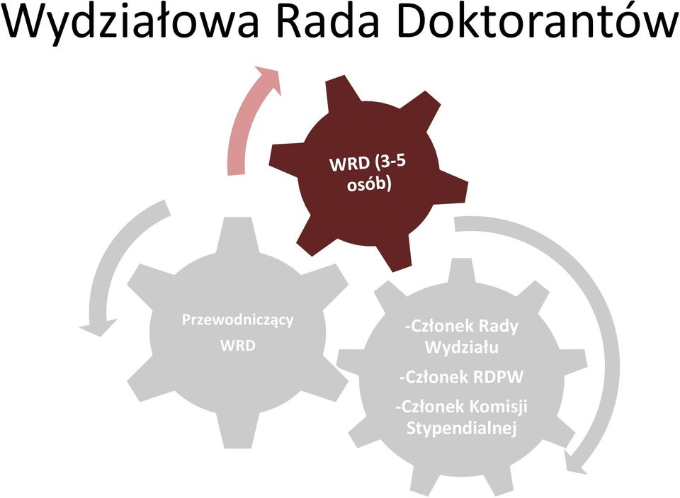 Rady Wydziału -Członek RDPW