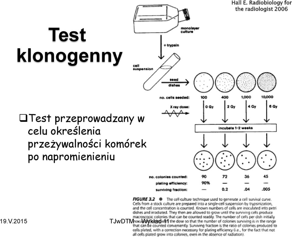 2006 Test klonogenny Test