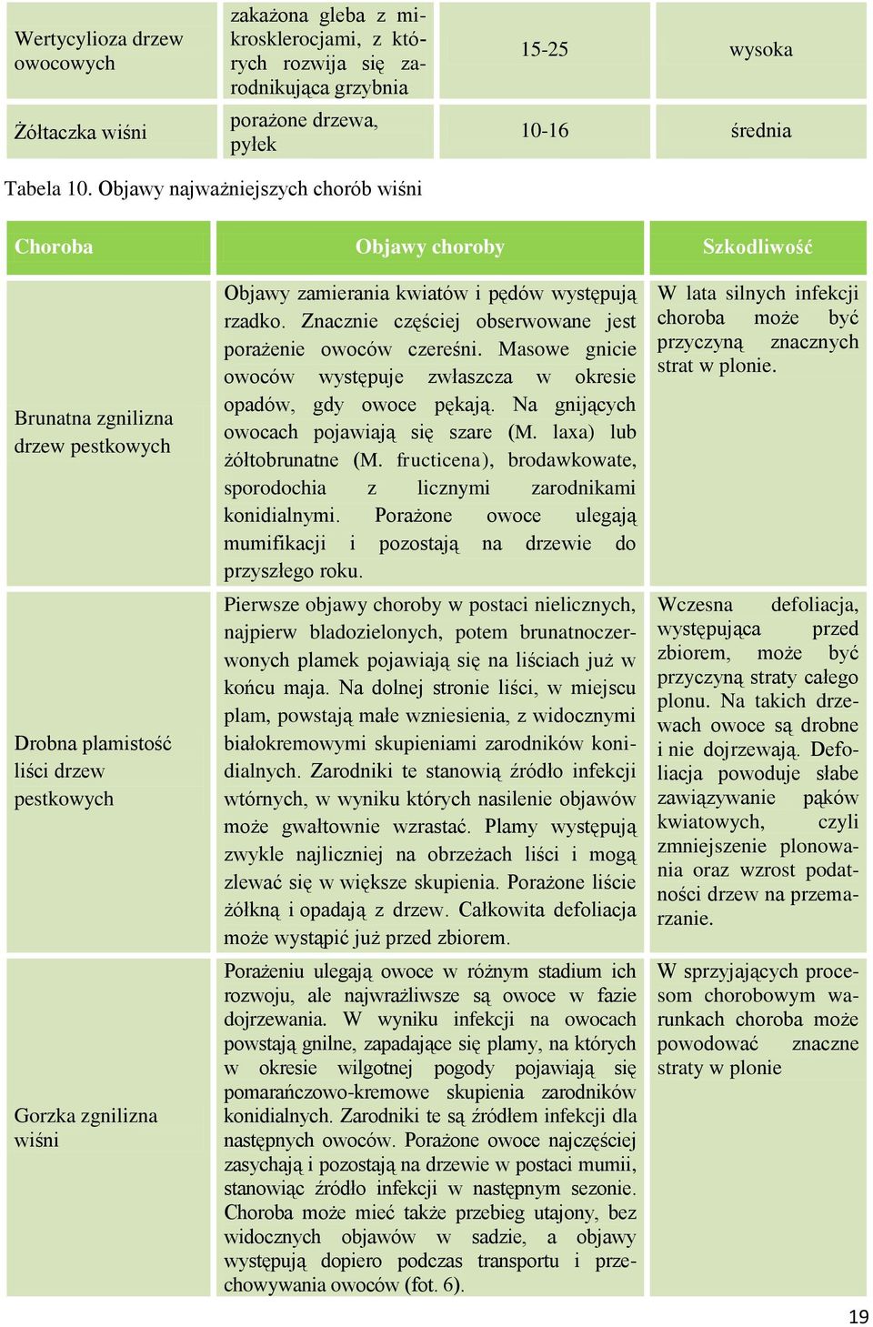 pędów występują rzadko. Znacznie częściej obserwowane jest porażenie owoców czereśni. Masowe gnicie owoców występuje zwłaszcza w okresie opadów, gdy owoce pękają.