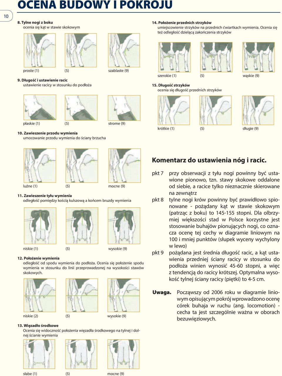 ocenia się długość rzednich strzyków łaskie (1) (5) (9) 10. Zawieszenie rzodu wymienia umocowanie rzodu wymienia do ściany brzucha (1) (5) (9) Komentarz do ustawienia nóg i racic. (1) (5) (9) 11.
