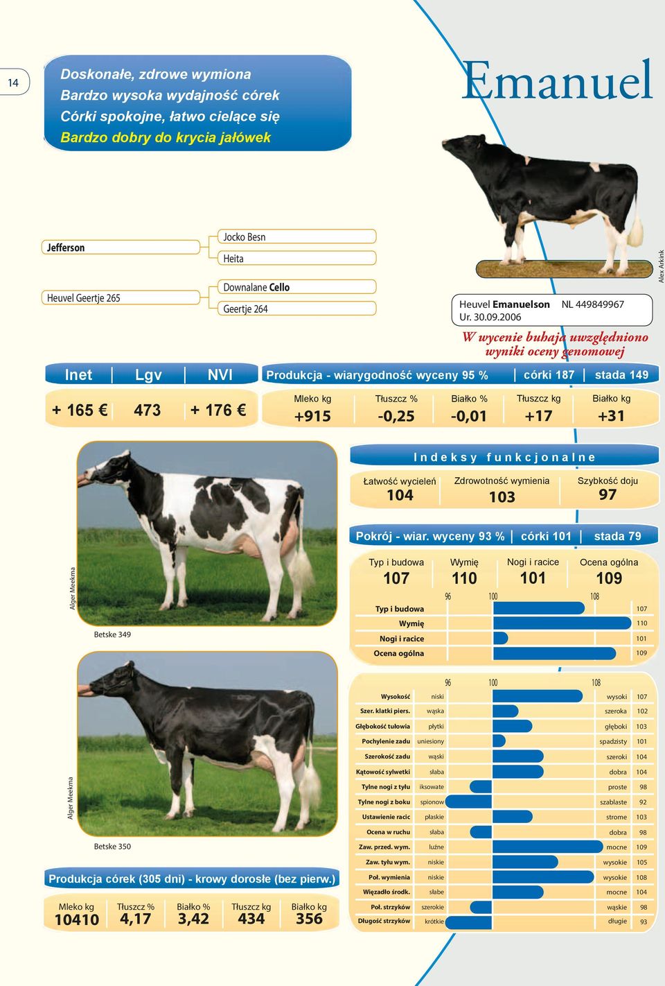 2006 NL 44467 Produkcja - wiarygodność wyceny 95 % córki 187 stada 149 + 165 473 + 176 +915-0,25-0,01 +17 +31 97 Pokrój - wiar.