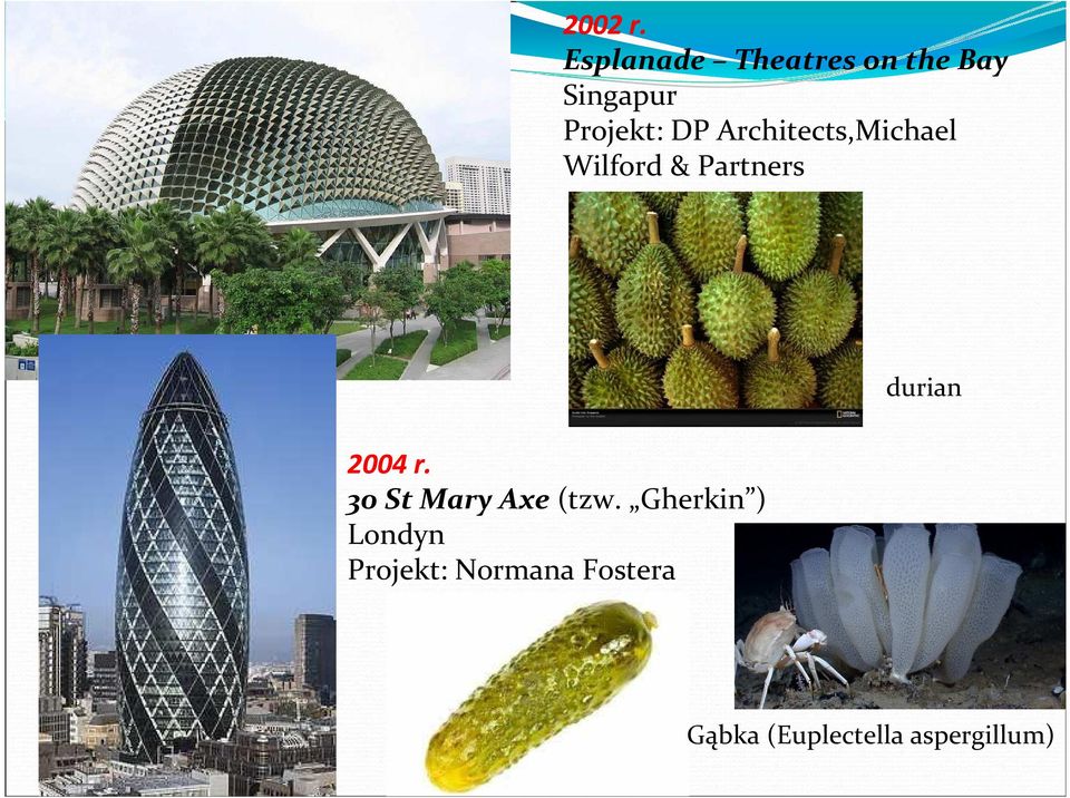 Architects,Michael Wilford & Partners durian 2004 r.