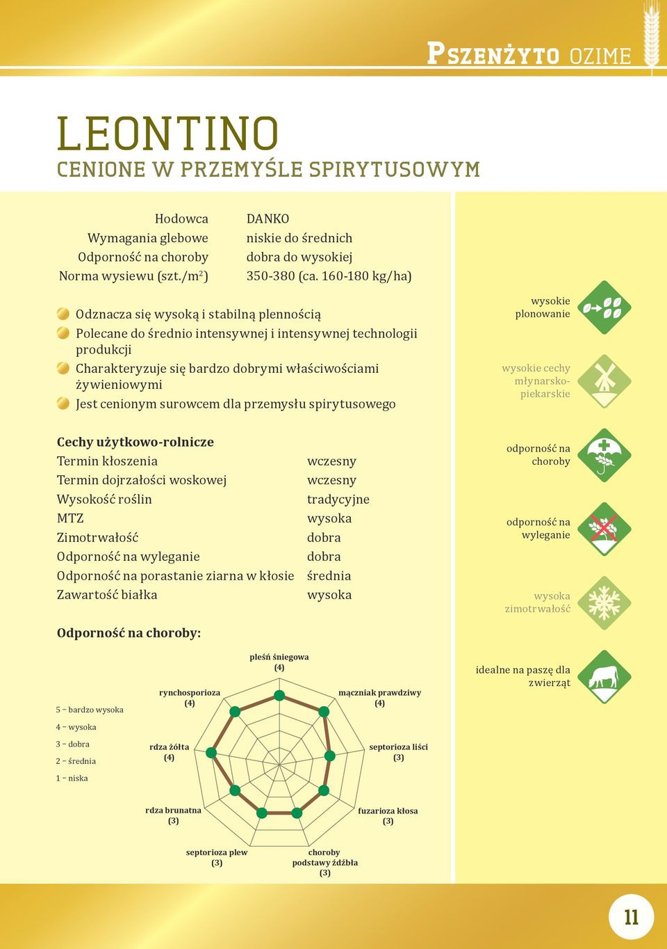 cenionym surowcem dla przemysłu spirytusowego wysokie plonowanie wysokie cechy młynarskopiekarskie Cechy użytkowo-rolnicze Termin kłoszenia Termin dojrzałości woskowej Wysokość roślin MTZ