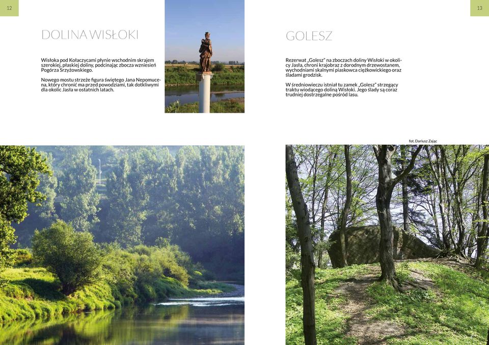 Rezerwat Golesz na zboczach doliny Wisłoki w okolicy Jasła, chroni krajobraz z dorodnym drzewostanem, wychodniami skalnymi piaskowca ciężkowickiego oraz