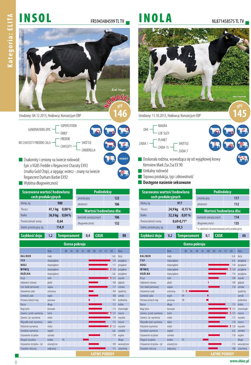 Regancrest Chassity EX92 (matka Gold Chip), a sięgając wstecz - znany na świecie Regancrest Durham Barbie EX92 Wybitna długowieczność Mleko, kg 980 Tłuszcz 41,1 kg 0,00 % Białko 36,9 kg 0,04 %