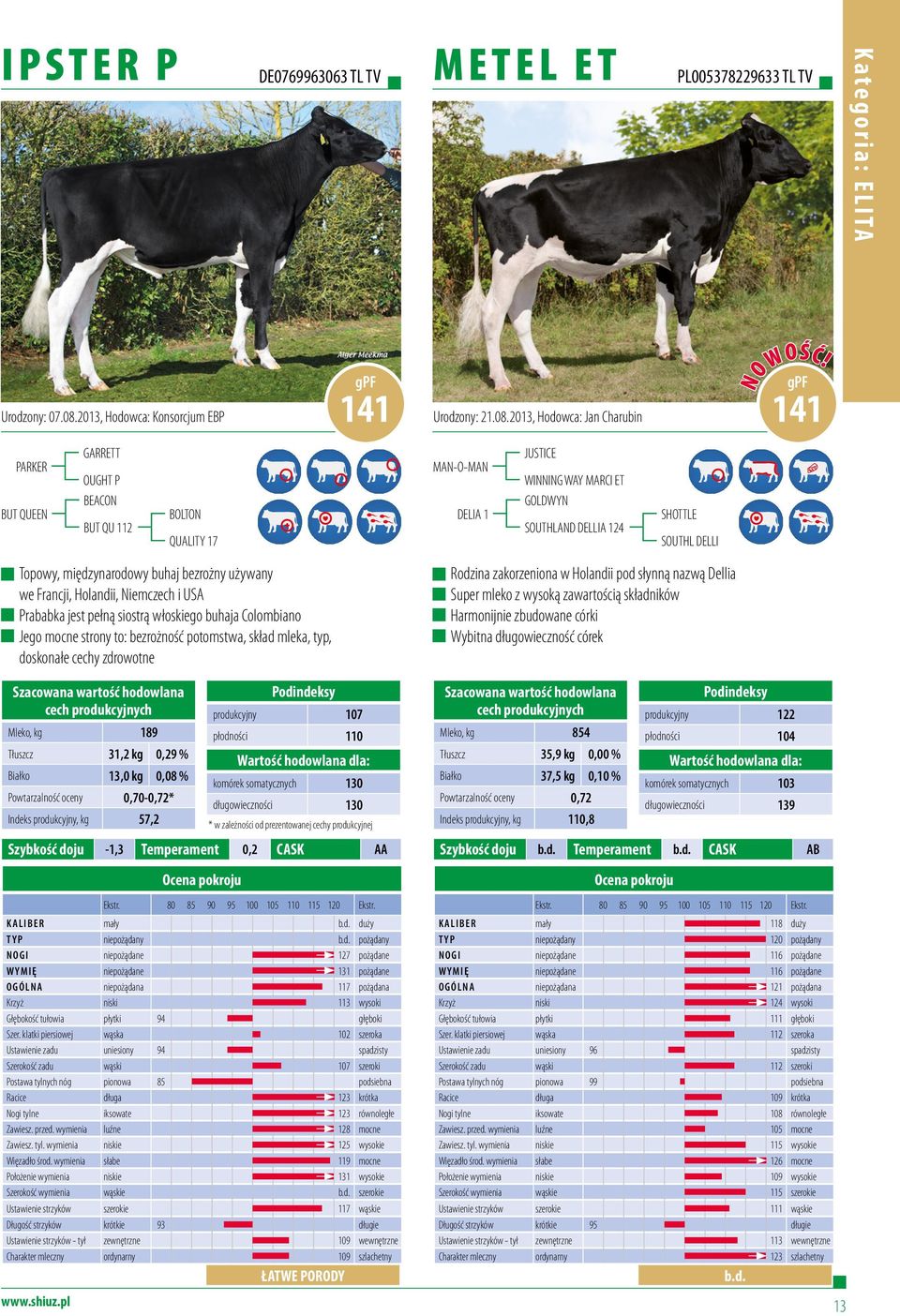 2013, Hodowca: Jan Charubin 141 PARKER BUT QUEEN GARRETT OUGHT P BEACON BUT QU 112 BOLTON QUALITY 17 MAN-O-MAN DELIA 1 JUSTICE WINNING WAY MARCI ET GOLDWYN SOUTHLAND DELLIA 124 SHOTTLE SOUTHL DELLI