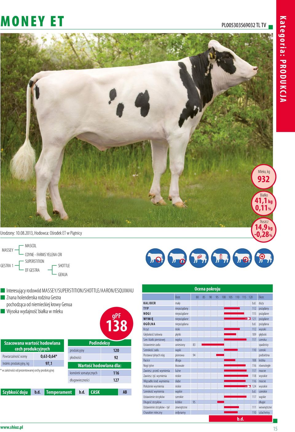 MASSEY/SUPERSTITION/SHOTTLE/Aaron/Esquimau Znana holenderska rodzina Gestra pochodząca od niemieckiej krowy Genua Wysoka wydajność białka w mleku Powtarzalność oceny 0,63-0,64* Indeks produkcyjny, kg