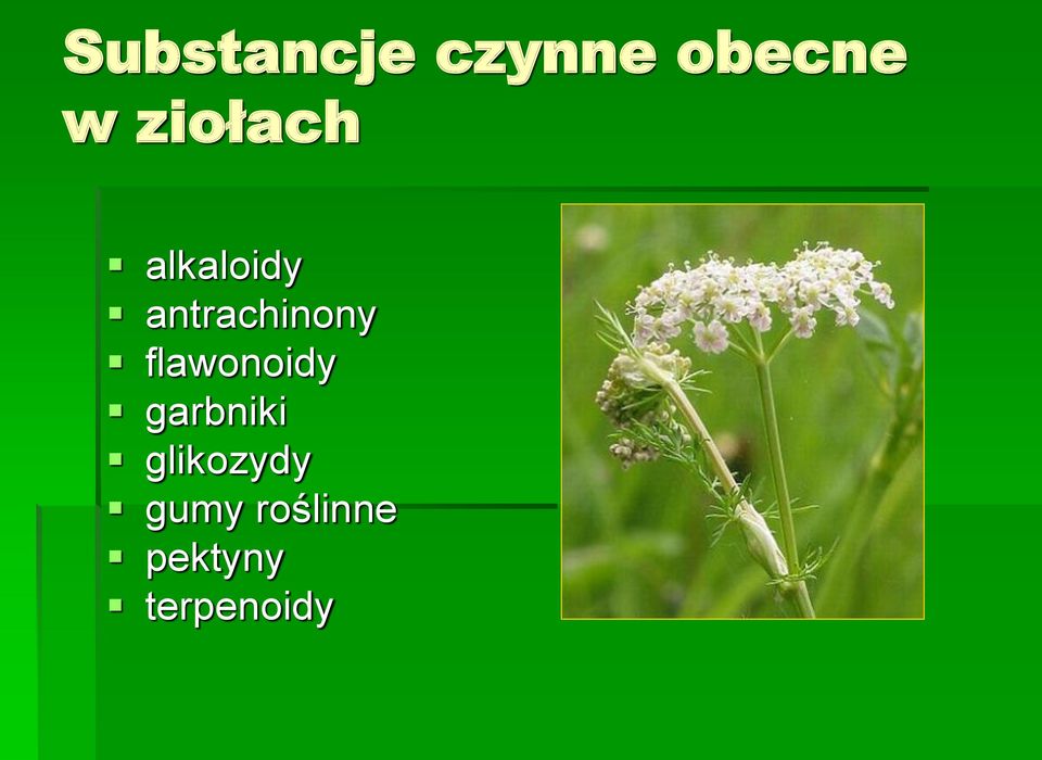 antrachinony flawonoidy